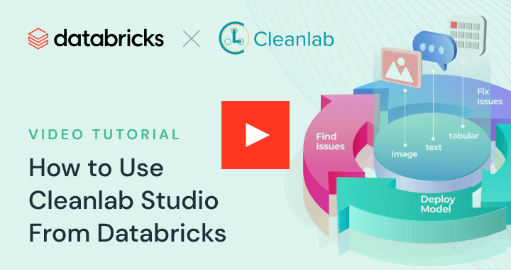 How to Use Cleanlab Studio From Databricks