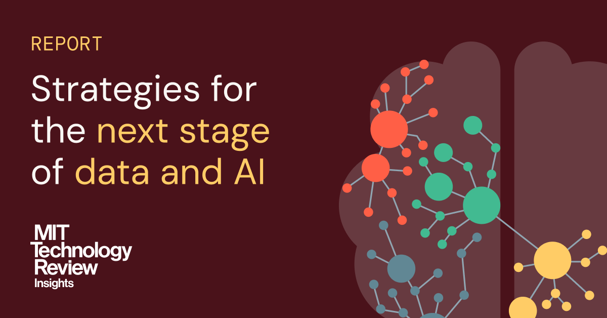 Image 14: MIT and Databricks Report
