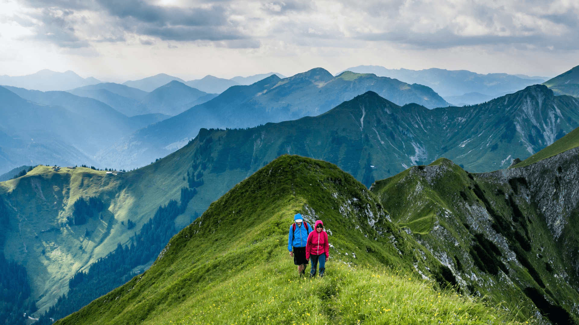 Hikers on a grassy mountain ridge with blue peaks.