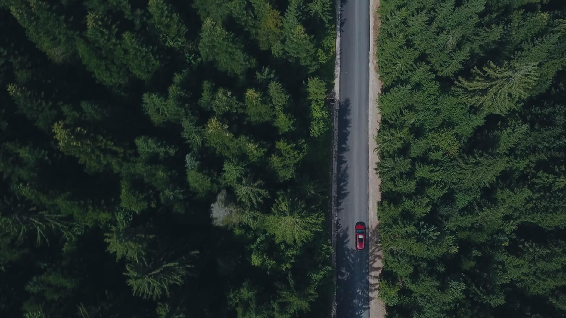 Red car driving on a straight road through dense forest.