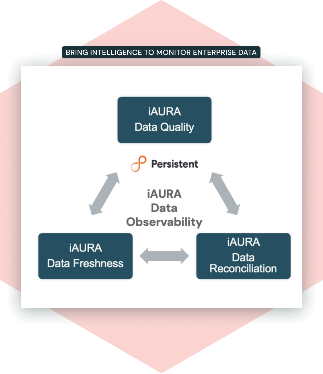 Persistent iAura Data Observability Body Image