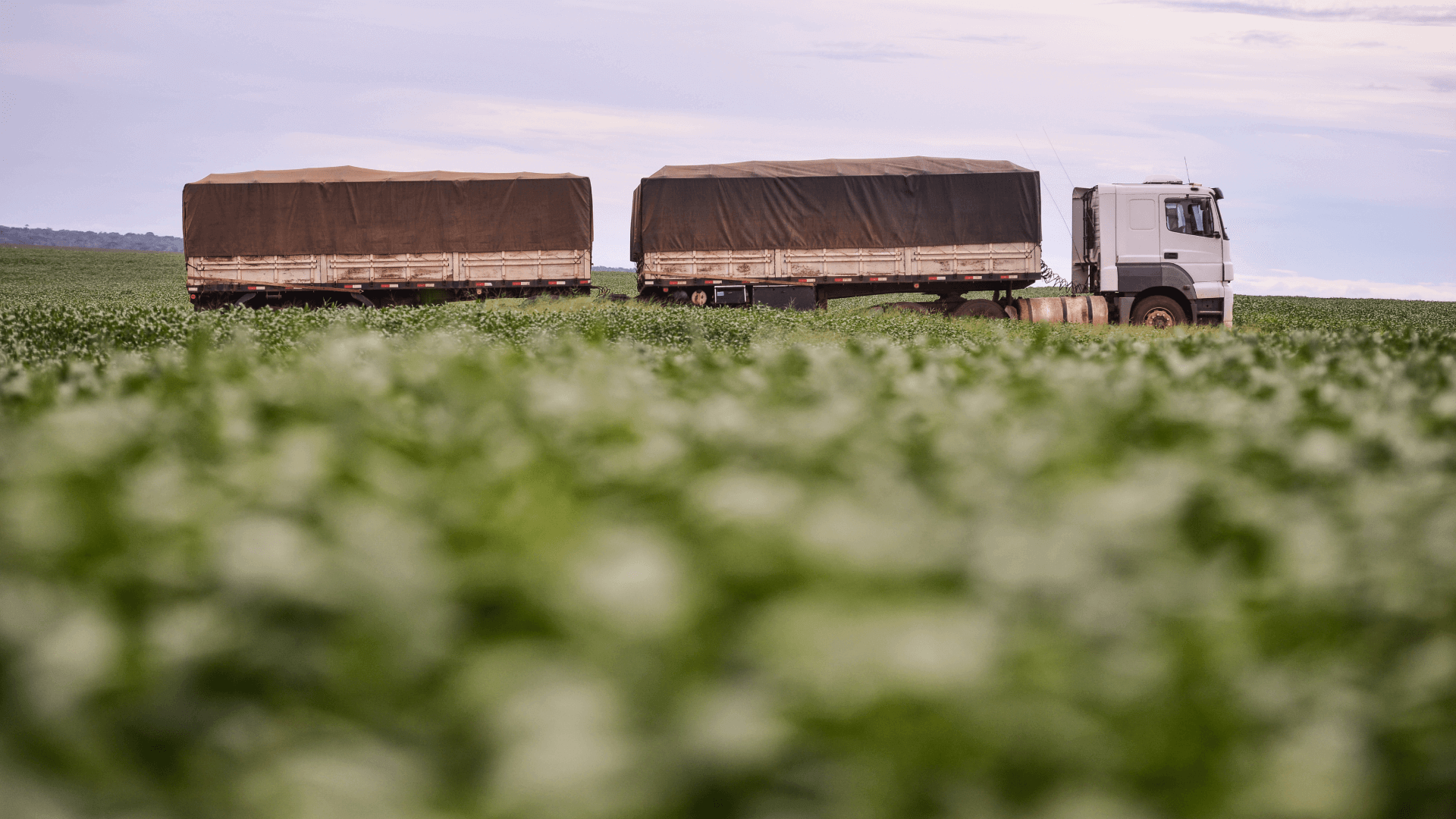 A2go cuts AI delivery time in half with Databricks Apps