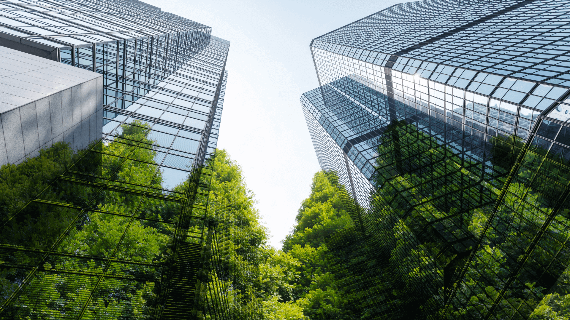 Quantum Capital Group