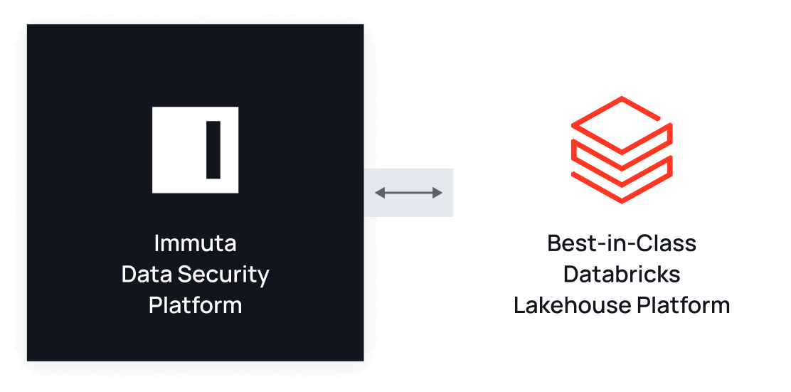 immuta databricks 2 why immuta