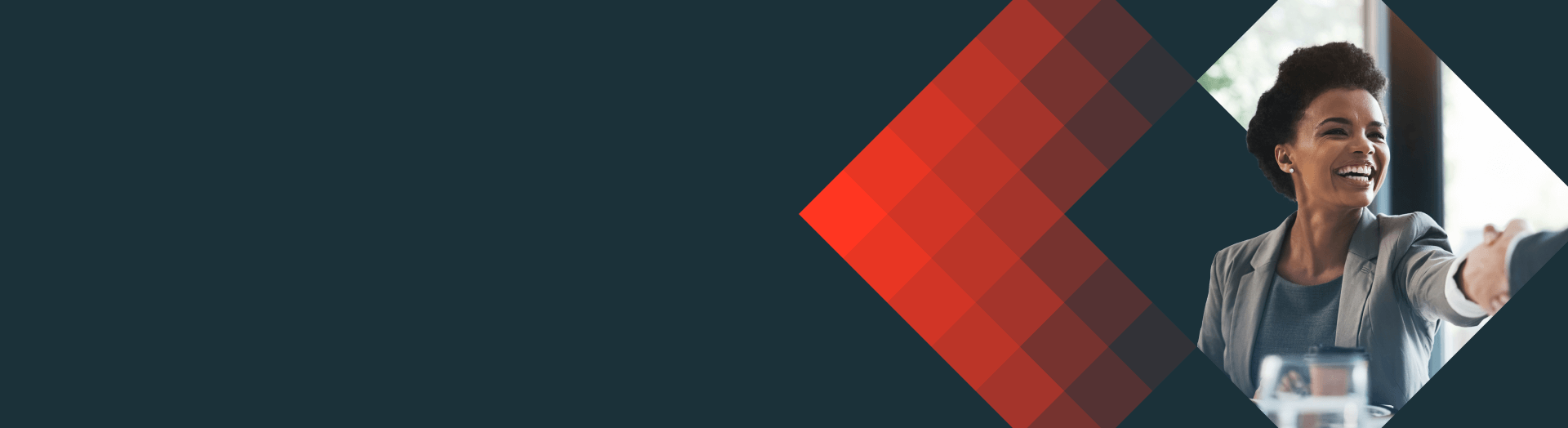 partners hero desktop