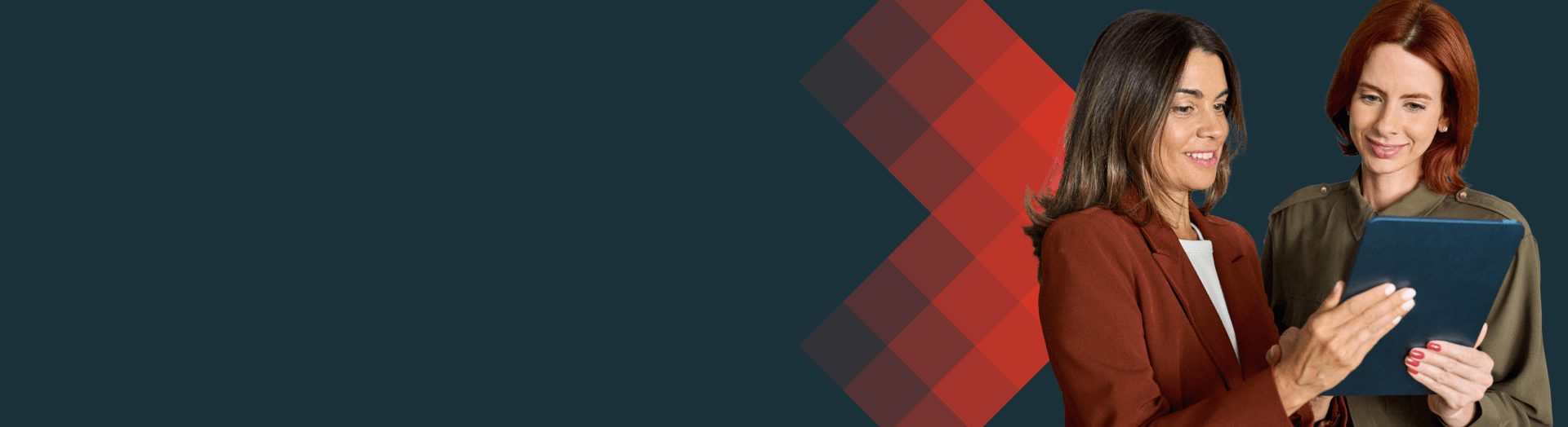 partners potlight hero