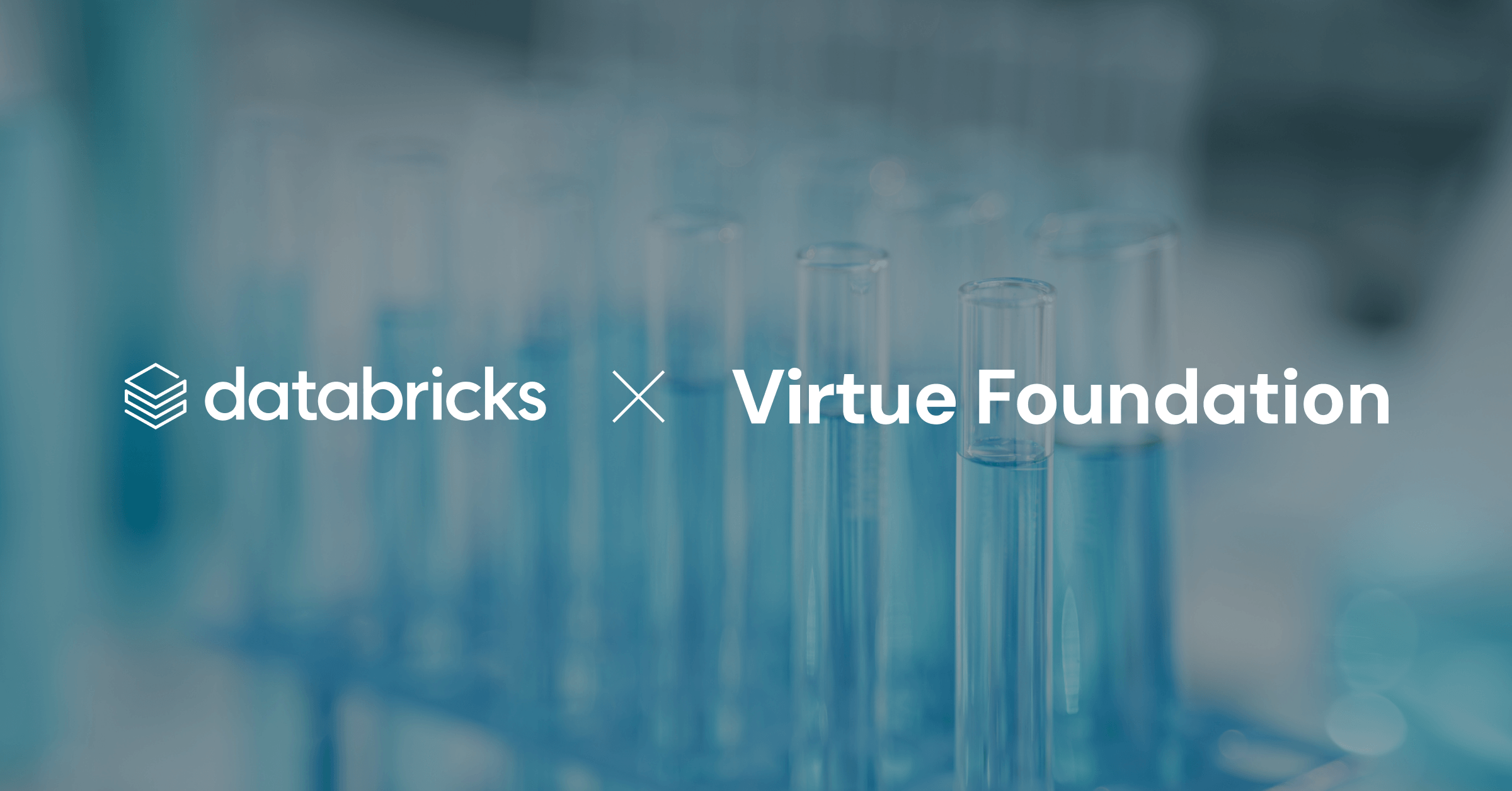 Databricks para la Fundación Good and Virtue: Asociándose para conectar voluntarios médicos con servicios de salud críticos en 72 países