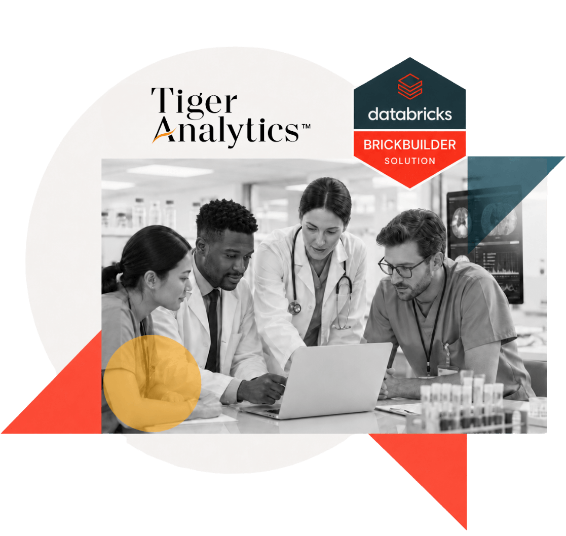 Tiger Analytics, Databricks. Team on laptop.