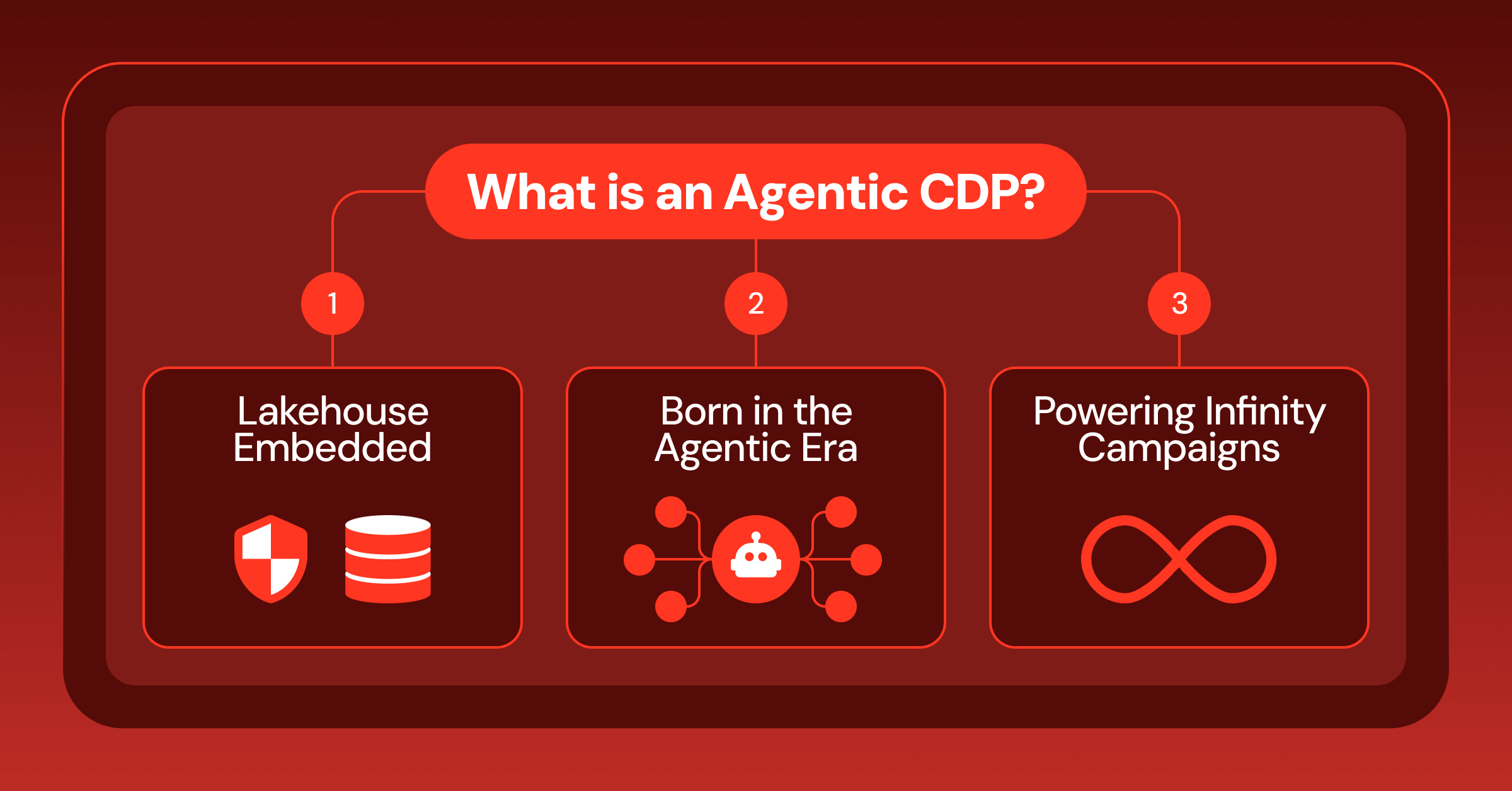 Agentic CDP blog
