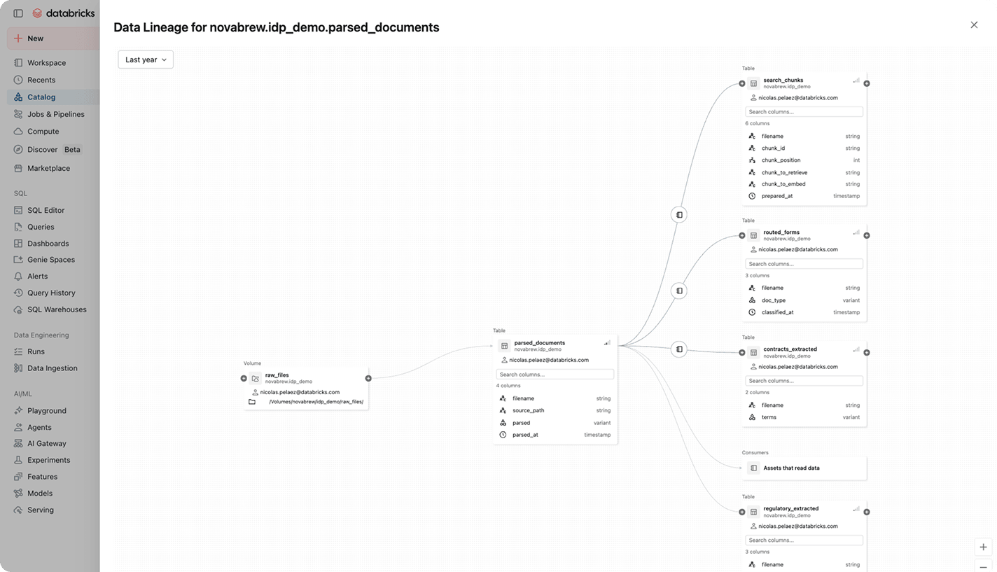 Databricks data lineage for parsed documents.