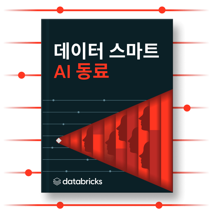 Databricks 'Data Smart AI Companion' 도서 표지.