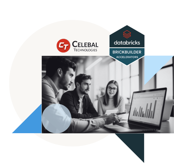 Celebal & Databricks team reviewing data.