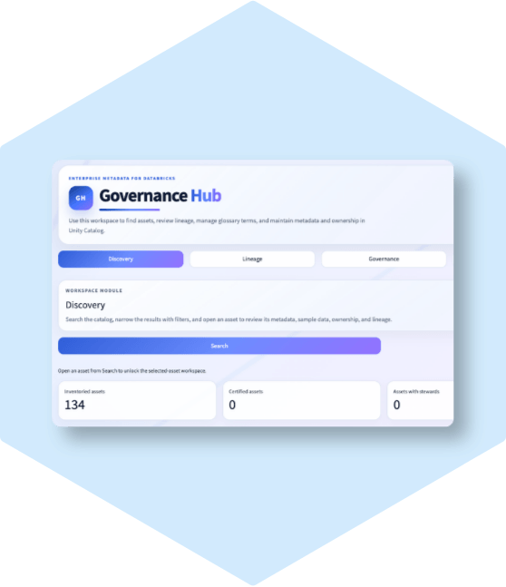 Databricks Governance Hub UI