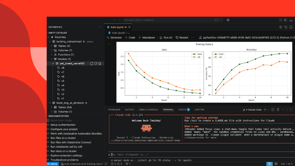 Run, debug, and scale Databricks workloads from your local IDE