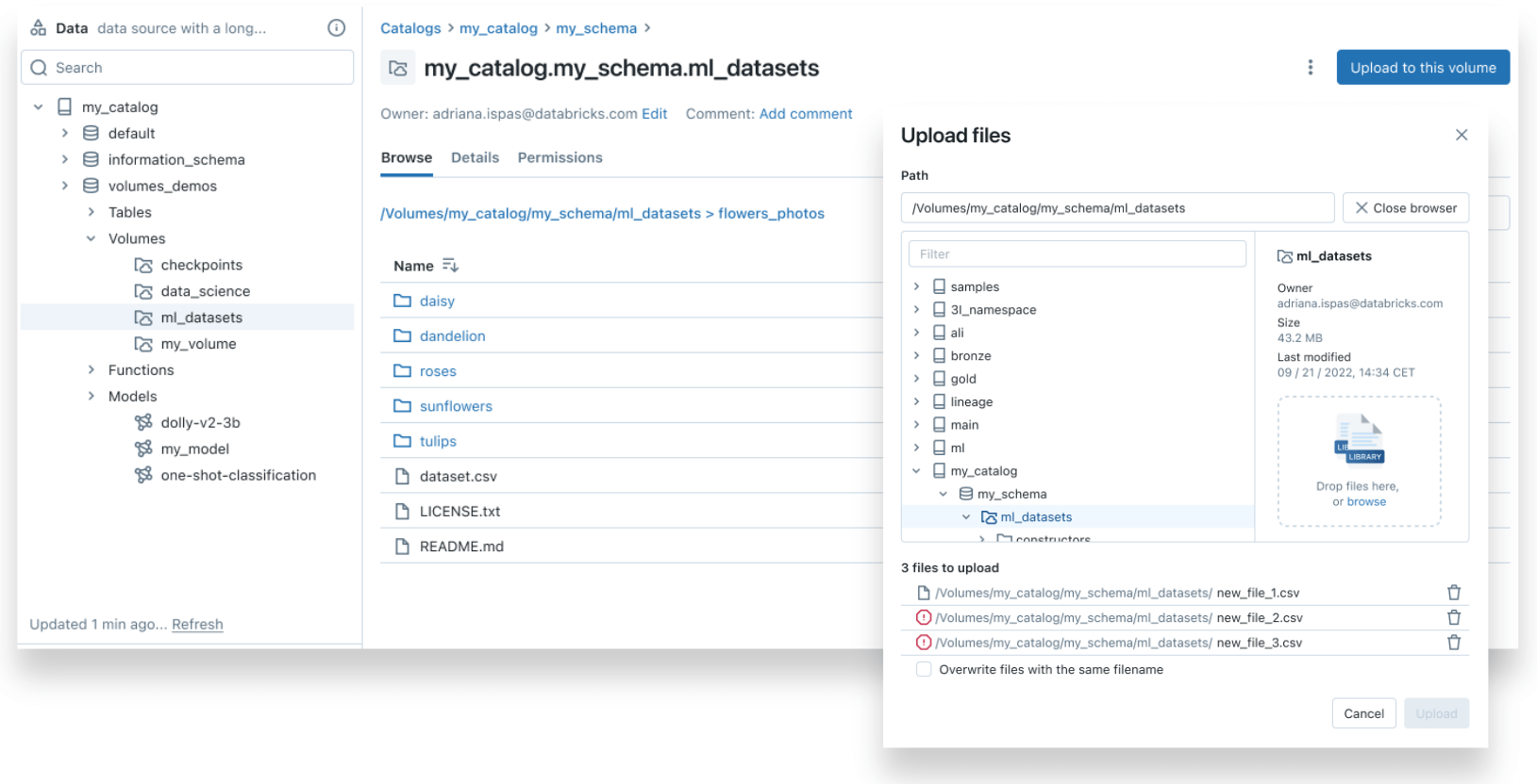 Govern any non-tabular data in Unity Catalog