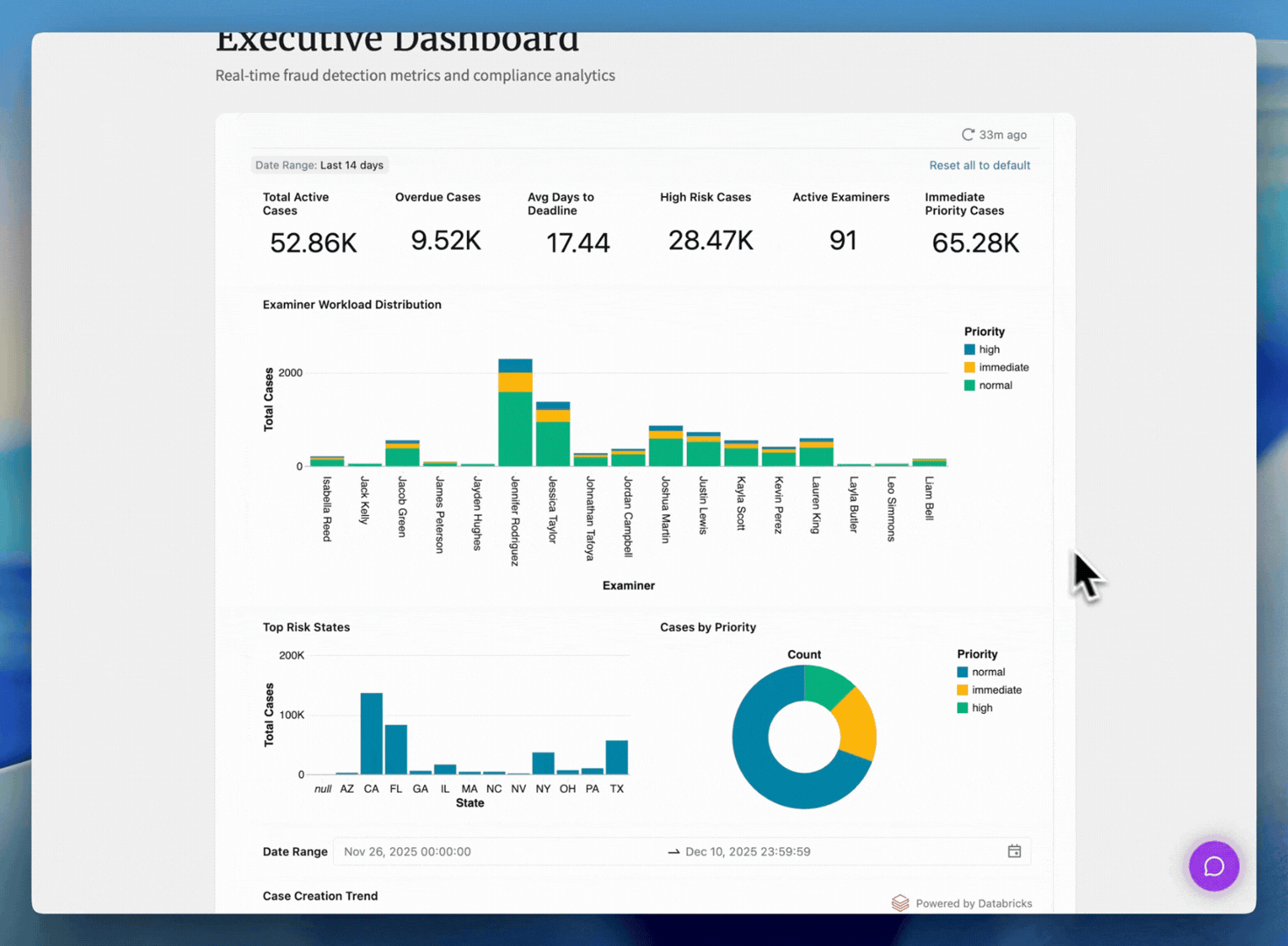 Embedded executive dashboard and Genie interface within the app.
