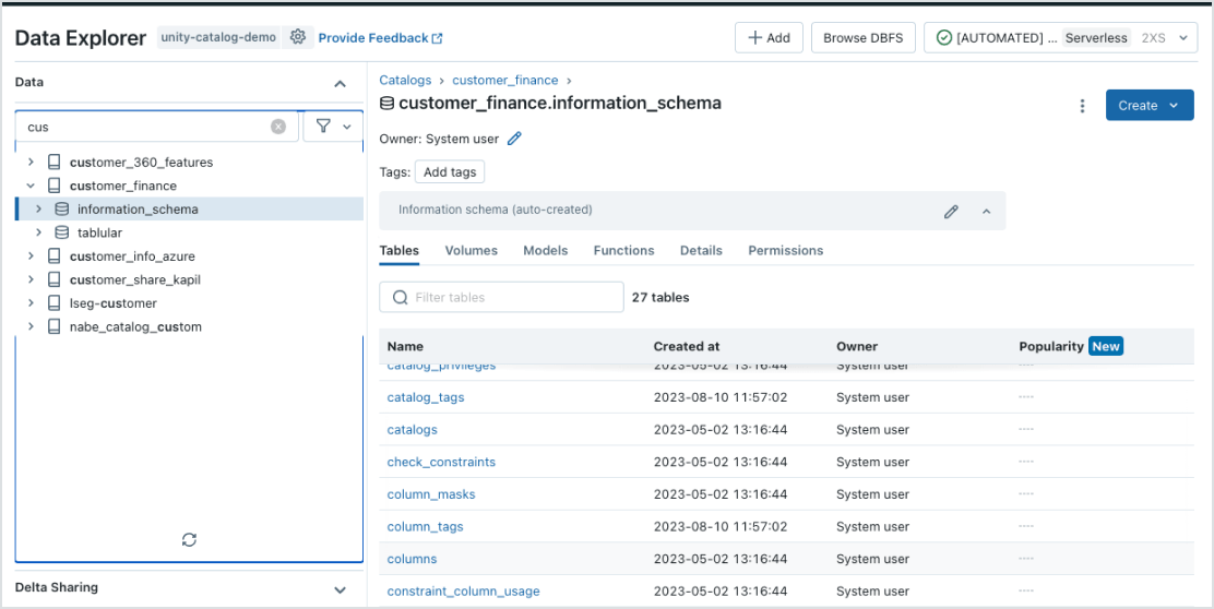 Databricks Data Explorer screenshot showing the customer_finance.information_schema catalog with a list of tables and metadata.