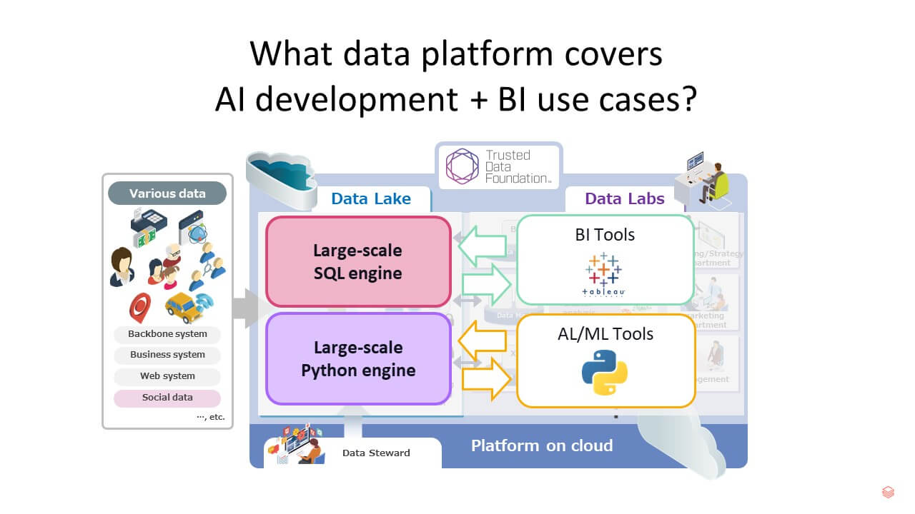 What data platform covers ai development