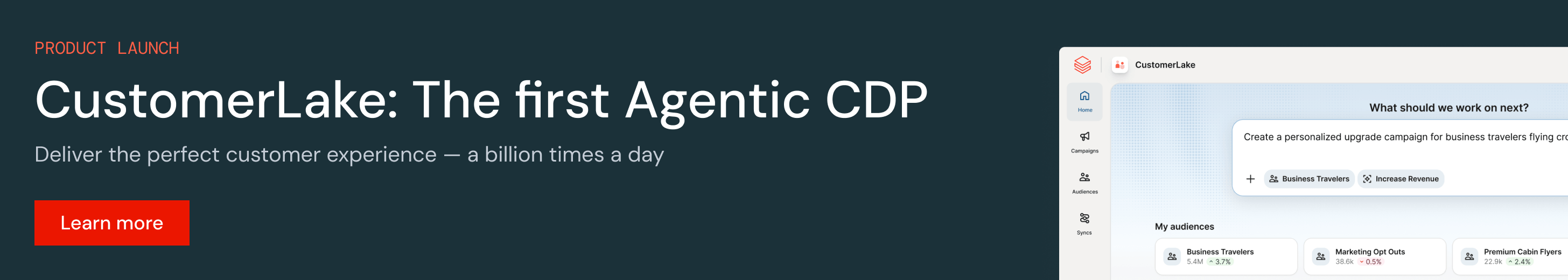 CustomerLake: Agentic CDP built in Databricks image