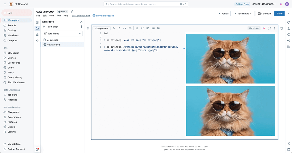 Incorporando imagens no markdown do notebook usando caminhos relativos e absolutos