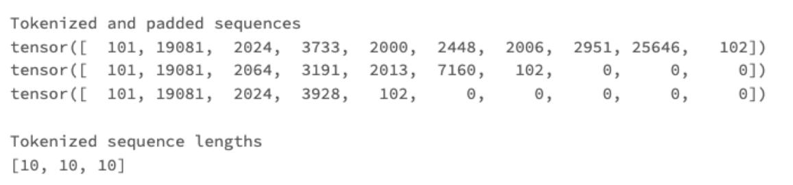 Tokenized and padded text sequences in the same processing step