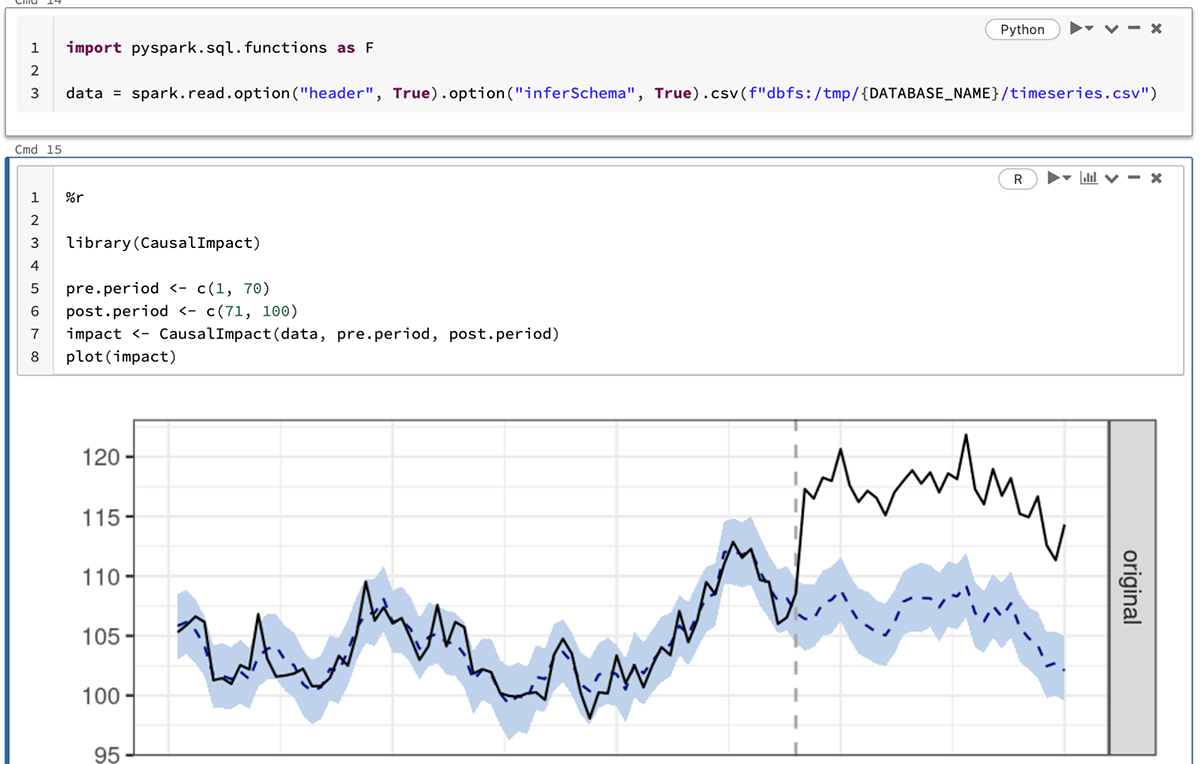 Databricks Notebooks offer a collaborative and multi-language environment