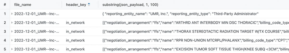 Parsing JSON into queriable format