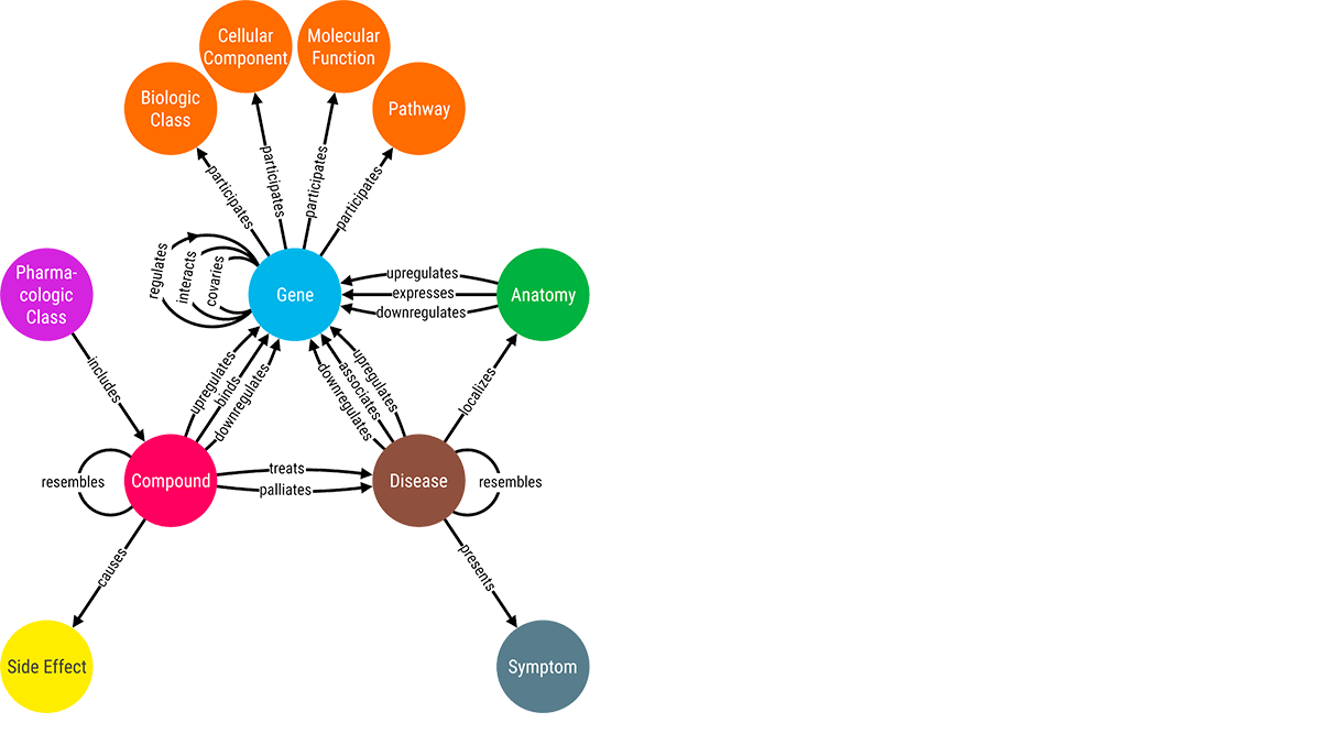 Knowledge graphs uncover relationships between biomedical entities to facilitate infering new facts from existing ones. 