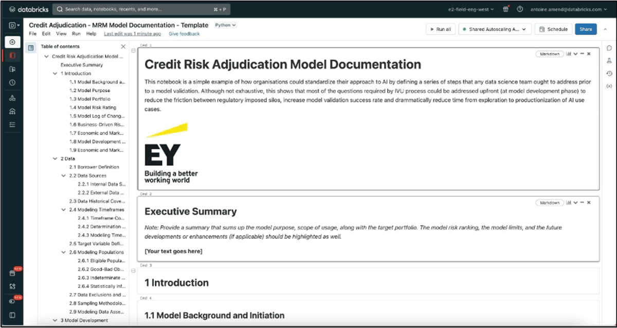 Example of an EY documentation template for credit risk adjudication