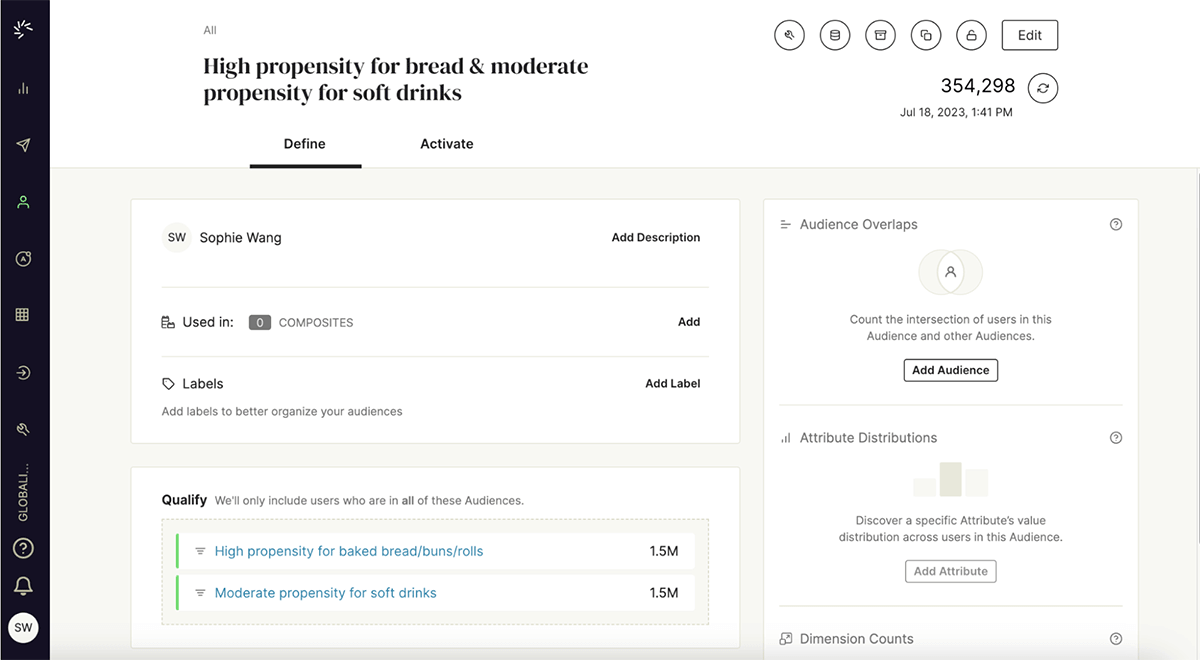 Composite Audience for Customers