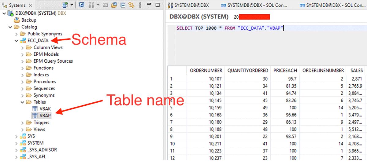 Figure 3: SAP HANA table