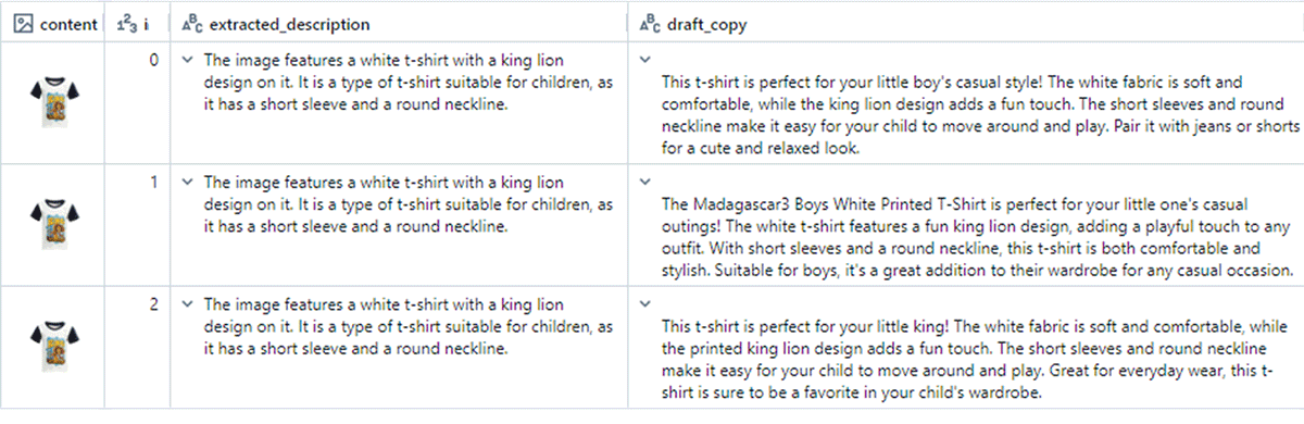 Figure 2. Product imagery with extracted descriptions and draft copy