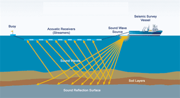 Seismic survey - acquiring seismic data