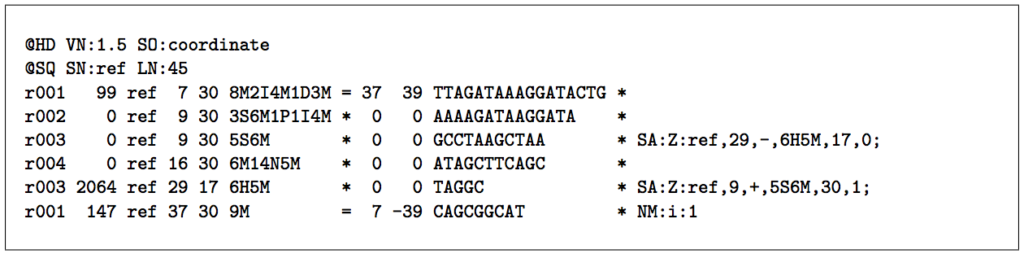 Example-SAM-format