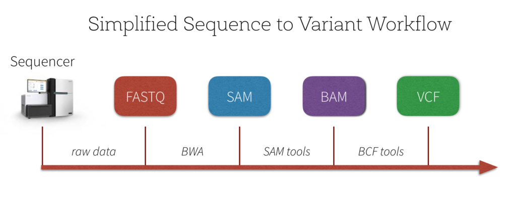 Simplified-Sequence-to-Variant-Workflow