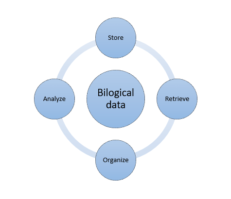 Diagramma bioinformatica