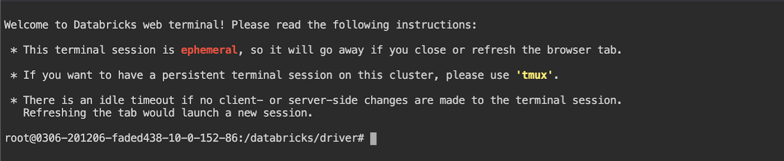 New Databricks Web Terminal for running line commands via an interactive shell.