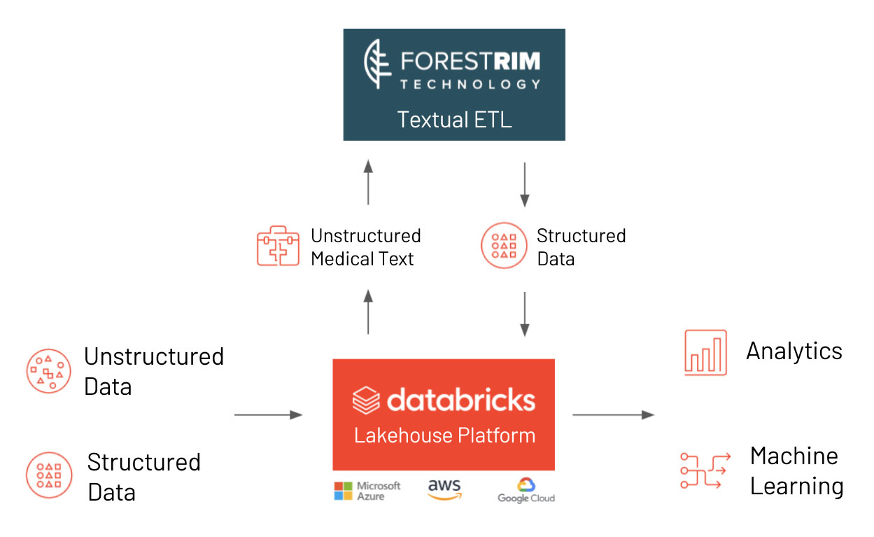 Forest Rim Technology builds on Databricks’ capabilities with Textual ETL, converting raw text into structured data that can easily be ingested into Delta Lake. 