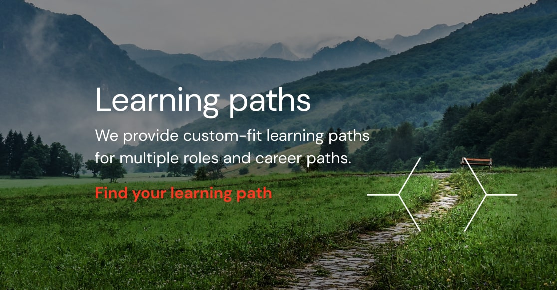 Databricks Learning Paths