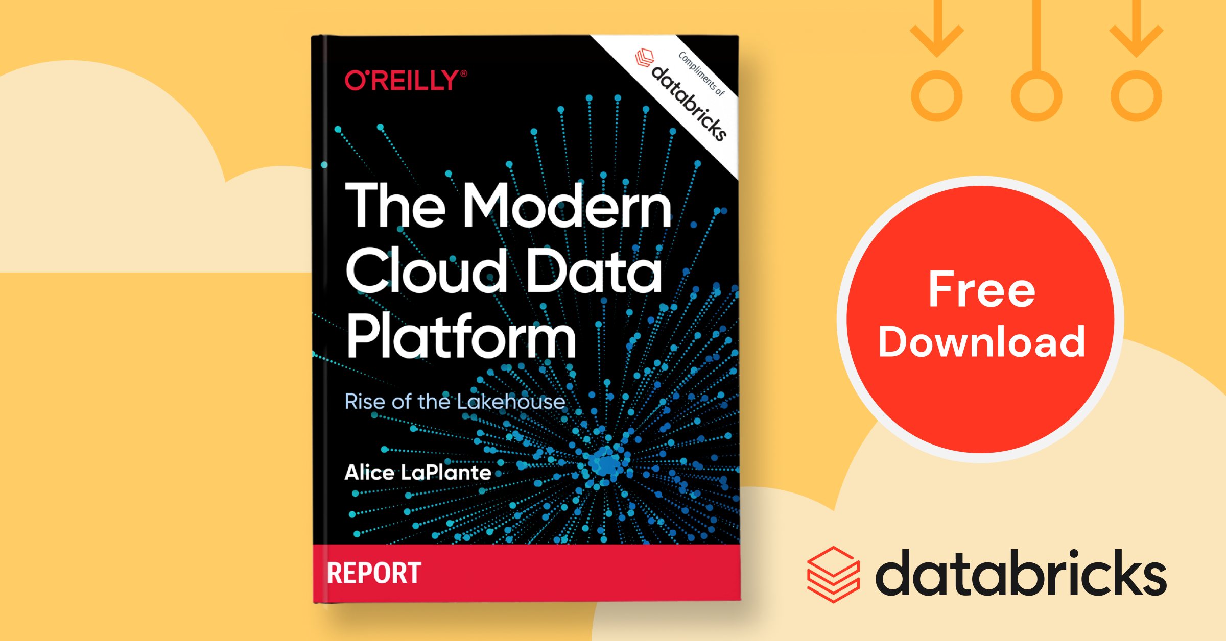 O’Reilly Survey Why 9 out of 10 enterprises want a simpler data