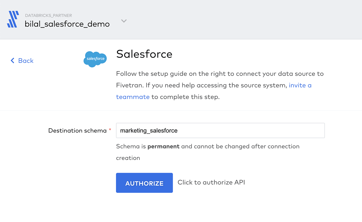 Define a destination schema in Delta Lake for the Salesforce data source